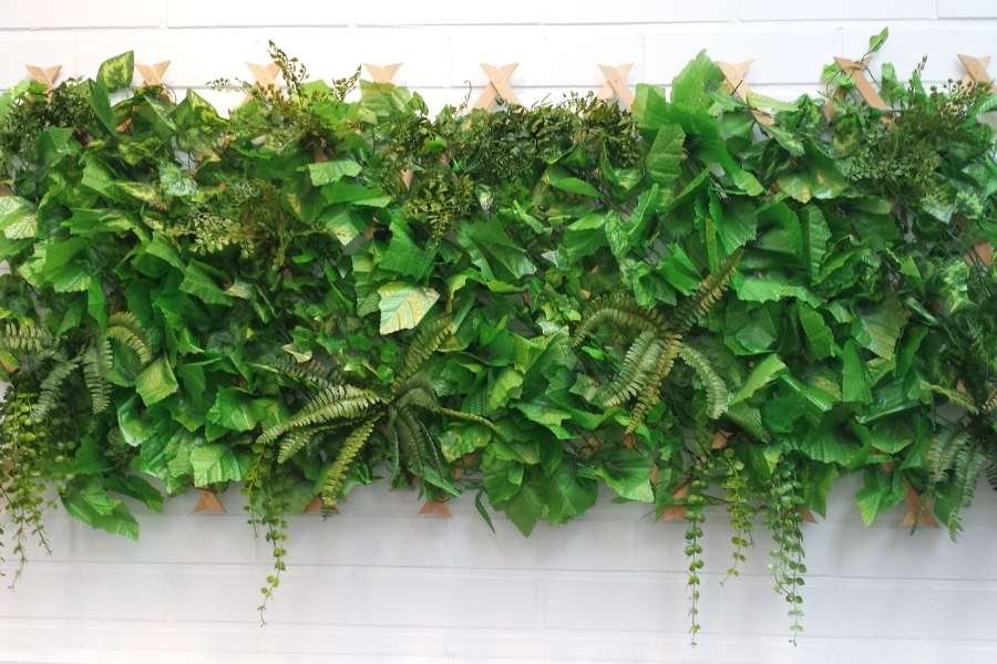 Le mur végétal intérieur